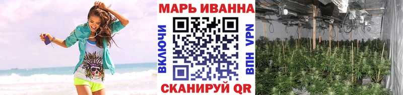 Бошки Шишки Сосногорск